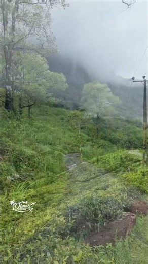 Saptha Kanya Mountain Lost in the Mist 🌫️ #exploresrilanka #travelsrilanka #Sapthakanya #mountains