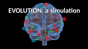 Evolution: a simulation