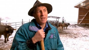 Parlamentarier als Handlanger der Wirtschaft