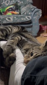 Back rub turned into killer attack!