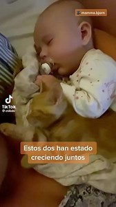 Feliz martes | El Oasis de Bastet