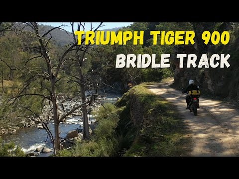 Triumph Tiger 900 - Bridle Track ADV ride NSW Australia