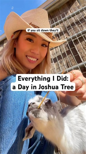 What I did on a day trip to JOSHUA TREE 🌵😌 #thingstodo #joshuatree #trip
