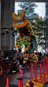 167K views · 3.3K reactions | 225 URBAN LION DANCE GAME  花絮 Highlights 用血汗換來成果 致敬每位醒獅運動員 - Lee Gardens x Needless 獅王無用 | 獅人派隊 S.R.P.D | Facebook