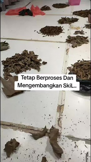 Gaharu Double Super Papua 🌿#chanelmutiaragaharumtc #Ampasgaharu #gaharusuperpapua #gaharusuperpapua #papua #fyp #agerwood