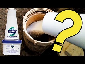 Does ROOTX really work? The TRUTH about ROOTX.