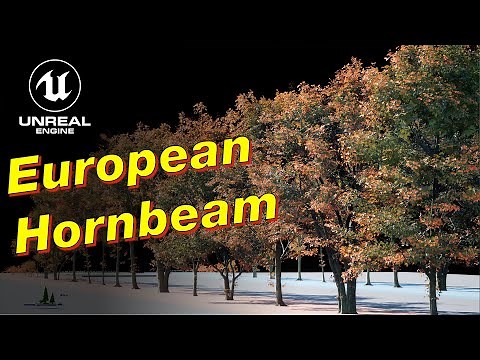 Quixel Megascans Trees: European Hornbeam for UE 5.