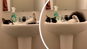 Cat finds pure bliss in a bathroom sink