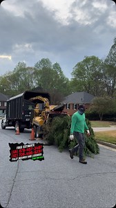 ‍♂️Tree Service Project Alpharetta, Georgia ️Call us right now and...