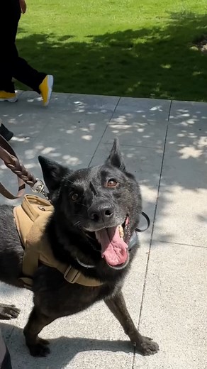 3.5K views · 81 reactions | Chad nos dio un tour por el campus  Haz el reencuentro con tus amigos memorable en este regreso a clases  #InspirandoTuMejorVersión | Universidad de Monterrey - UDEM | Facebook