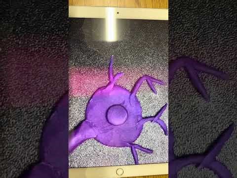 AP Biology Cell Signaling Project