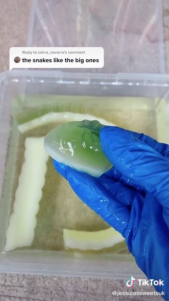 Satisfying Gummy Snake Eating Challenge