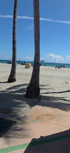 1.2K views · 22 reactions | A little video as we were pedaling down the boardwalk in our cart. We put on so many miles and got lots and lots of exercise here! | Barbara Flynn | Facebook