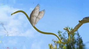 Snakes really can fly - Real Flying Snakes - Animal video 2019