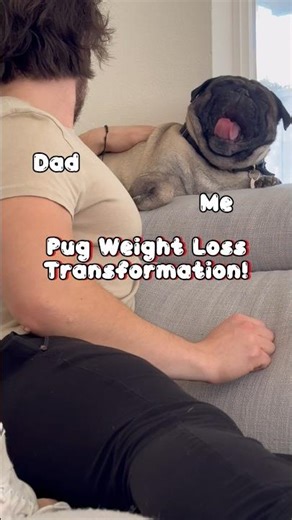 Crazy Pug Weight Loss!! Before & After!🐶😳