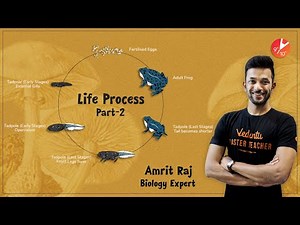 Life Process- 1B | CBSE Class 10 Science (Biology) Chapter 6 | Important Questions | Best of 2018