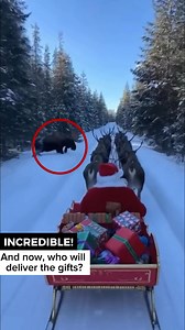 And now, who will deliver the gifts?😱 | Surprising Clips TV