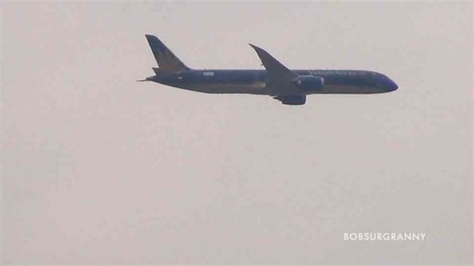 How a Vietnam Airlines 787 Shocked Crowds With Its Vertical Takeoff