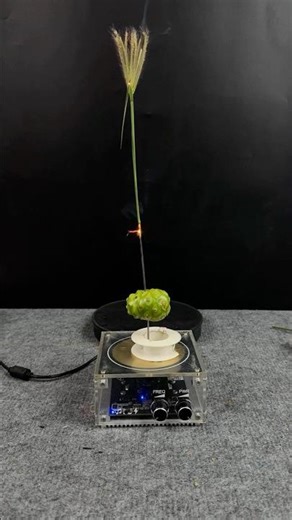 Tesla coil Project part(2)#experiment