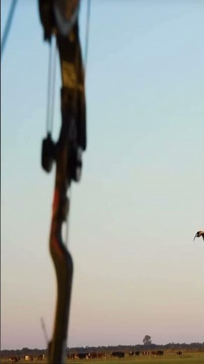 Tim Wells insane shot on mid air duck