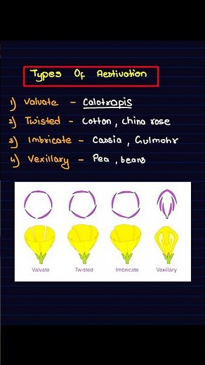 Types of Aestivation | NCERT Examples | Flowering Plants #shorts #youtubeshorts #biology