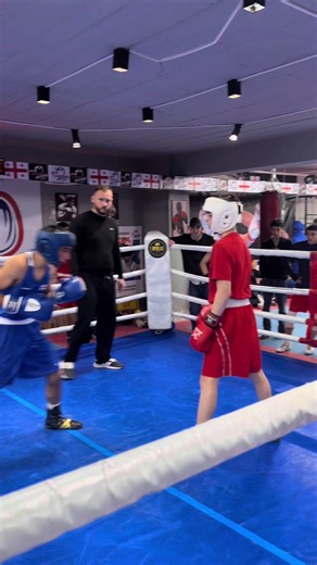 Boxing Basics: Training Tips and Global Boxing Community