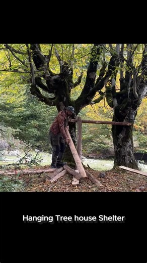 Hanging tree house shelter. #survival #camping #bushcraft #building