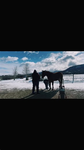#equine #cryotherapy #westernslpoe Unlock faster recovery and improved performance with Equine Cryotherapy. By applying targeted cold therapy, we help reduce inflammation, alleviate pain, and promote healing in your horse’s muscles and joints. Whether managing injuries, chronic conditions like ringbone, or enhancing performance, cryotherapy accelerates recovery times, allowing your horse to perform at its best, with less downtime. Keep your horse healthy, comfortable, and performing at peak pote