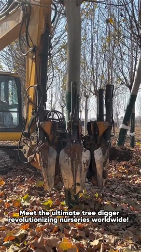 Amazing Tree Digger Pro: Fastest & Cleanest Tree Balling Machine!✨