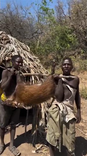 tribal hunts | African tribes making arrows for hunts | Ethiopian villagers hunting | Tribal Africa