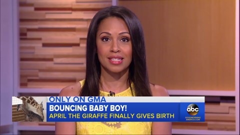 April the giraffe finally gives birth