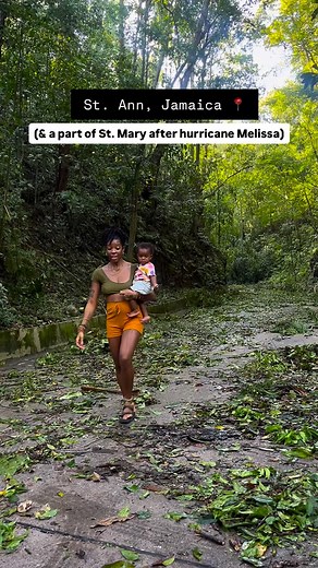 100K views · 2K reactions |  Ochi does not look the same. The trees...