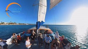 Catamaran Dolphin Sunset Adventure Cruise All Ages • 2 hour Sailing...