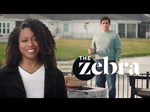 The Zebra (Car Insurance) Money Marshmallow