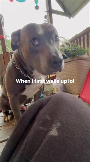 Megan Barber on Reels | Facebook