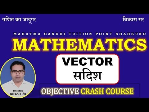 Vector 01 Objective Crash Course