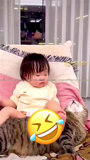 Funny Talking Pets Compilation: Hilarious Animal Voices