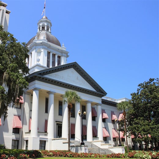 Registration for the 2026 PE Legislative Days ends on December 24th!🚨 This is your chance to meet with your Legislators, share your perspective, and experience the legislative process firsthand. Don't miss this opportunity to shape the future of engineering in Florida! 🧷 https://info.fleng.org/events/EventDetails.aspx?id=1999648&group= | Florida Engineering Society (FES)