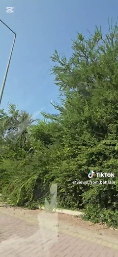 حسابات مقترحة