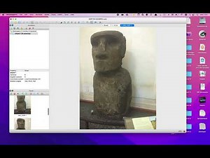 Agisoft Metashape Basic Workflow