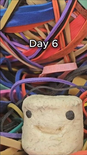 Day 6 Creating The Worlds Largest Rubber Ball