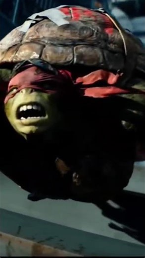 Ninja Turtles vs Shredder