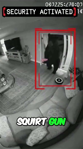 Bear with Ski Mask? You Won't Believe This 911 Call #shorts