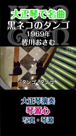 【大正琴】黒ネコのタンゴ(歌詞あり) 演奏：琴源心 #大正琴 #shortsvideo #shorts #short