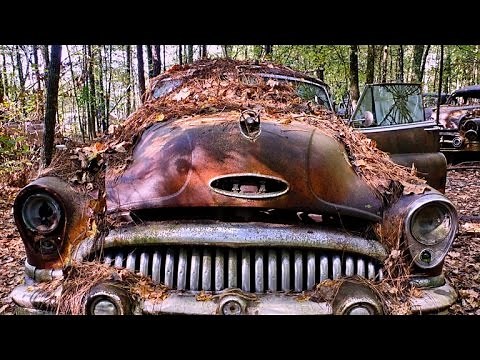Nature transforms junkyard cars into art
