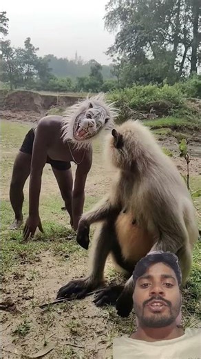 monkey v/s man comedy 😺 #funny #monkey #comedy