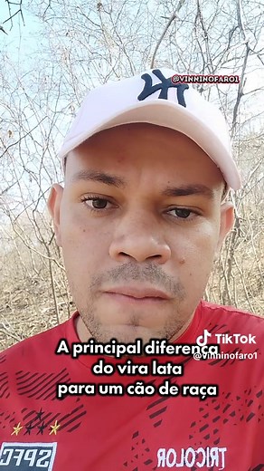 Diferença Entre Cão SRD e Cão Puro de Raça