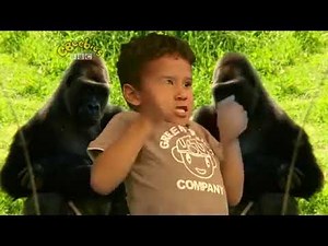 CBeebies Boogie Beebies Hey Monkey