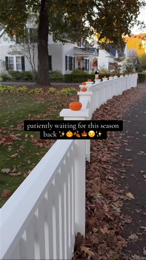 Embrace the Cozy Season: Fall Aesthetics Await