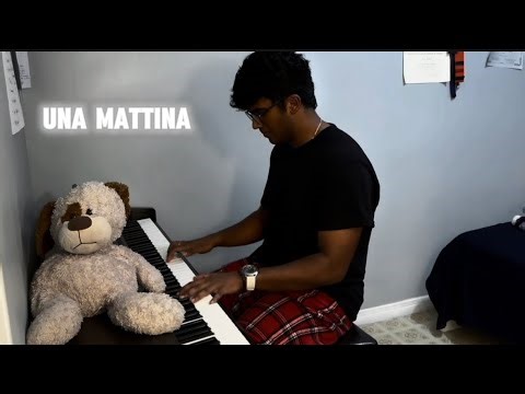 Ludovico Einaudi: Una Mattina (The Intouchables) - Felt Piano cover